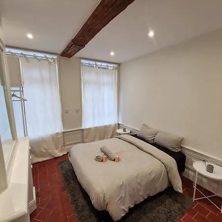 Lägenhet Jardin De La Prefecture *